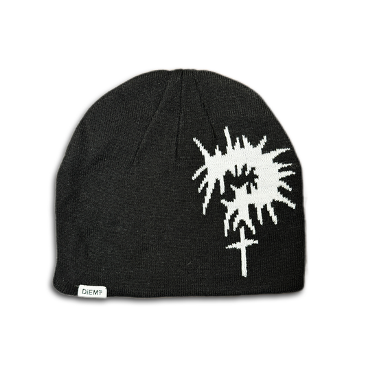 DiEM Beanie